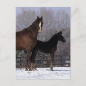 Arabisch Mare & Foal in sneeuw Briefkaart (Voorkant)