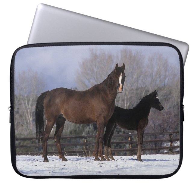 Arabisch Mare & Foal in sneeuw Laptop Sleeve (Voorkant)
