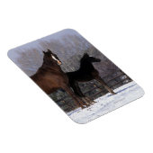 Arabisch Mare & Foal in sneeuw Magneet (Rechterzijde)