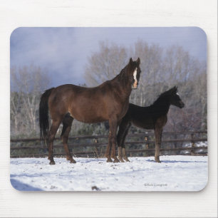 Arabisch Mare & Foal in sneeuw Muismat
