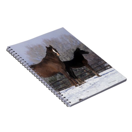 Arabisch Mare & Foal in sneeuw Notitieboek (Rechterzijde)