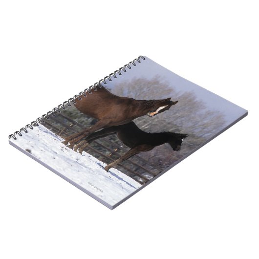 Arabisch Mare & Foal in sneeuw Notitieboek (Linkerzijde)