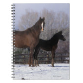 Arabisch Mare & Foal in sneeuw Notitieboek (Voorkant)