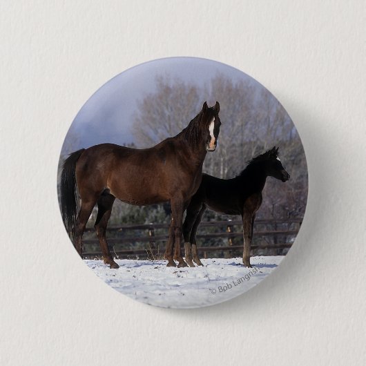 Arabisch Mare & Foal in sneeuw Ronde Button 5,7 Cm (Voorkant)