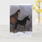 Arabisch Merrie & Veulen in Sneeuw Kaart (Gele Bloem)