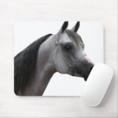 Arabisch Muismat (Met muis)