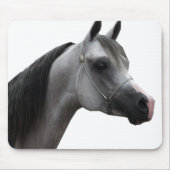 Arabisch Muismat (Voorkant)