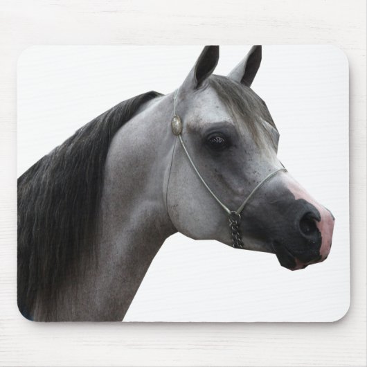 Arabisch Muismat (Voorkant)