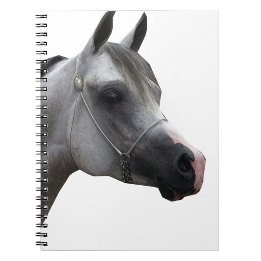 Arabisch Notitieboek (Voorkant)