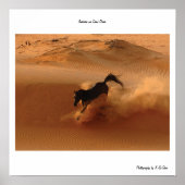 Arabisch op Sand Dune Poster (Voorkant)