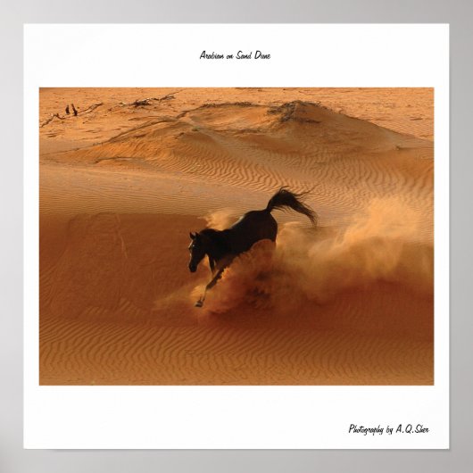 Arabisch op Sand Dune Poster (Voorkant)