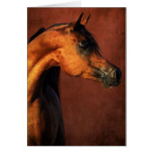 Arabisch paard (Voorkant)