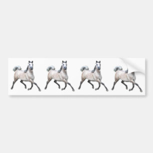 Arabisch paard - Alia Bumpersticker