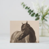 Arabisch Paard briefkaart (Staand voorkant)