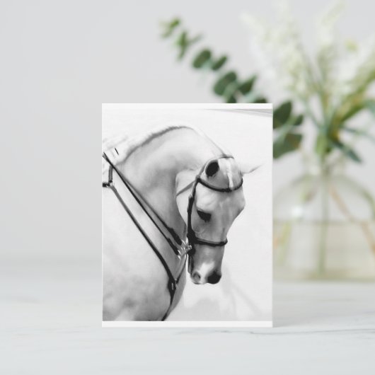 Arabisch paard briefkaart (Staand voorkant)