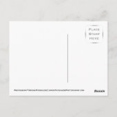 Arabisch paard briefkaart (Achterkant)