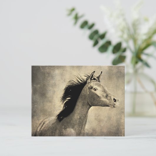 Arabisch paard briefkaart (Staand voorkant)