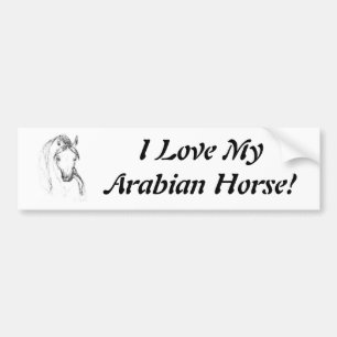 Arabisch paard bumpersticker