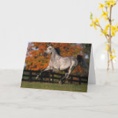 Arabisch Paard: De herfst 1 Kaart (Gele Bloem)