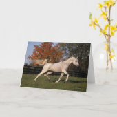 Arabisch Paard: De herfst 2 Kaart (Gele Bloem)