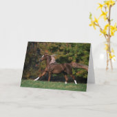 Arabisch Paard die op Grasrijk Gebied lopen Kaart (Gele Bloem)