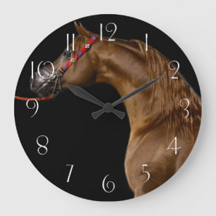 Arabisch paard grote klok