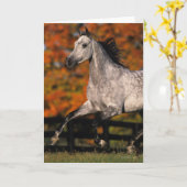 Arabisch paard: herfst 1 kaart (Gele Bloem)