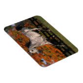 Arabisch paard: herfst 1 magneet (Rechterzijde)