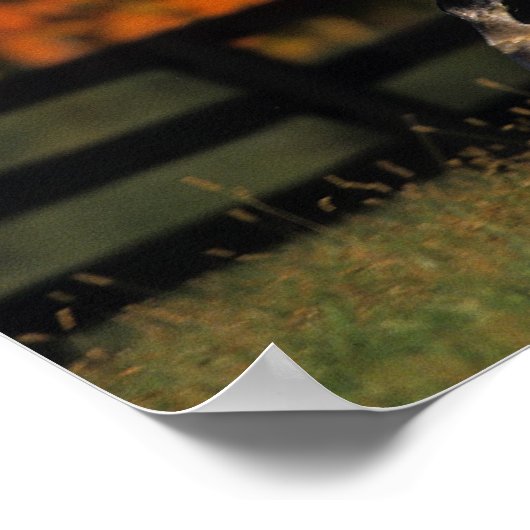 Arabisch paard: herfst 1 poster (Hoek)