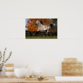 Arabisch paard: herfst 1 poster (Keuken)