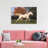 Arabisch paard: herfst 2 canvas afdruk (Insitu (Woonkamer))