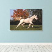 Arabisch paard: herfst 2 canvas afdruk (Insitu (Houten vloer))