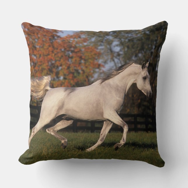 Arabisch Paard: Herfst 2 Kussen (Voorkant)