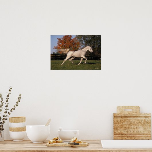 Arabisch paard: herfst 2 poster (Keuken)