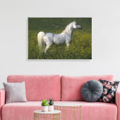 Arabisch paard in bloemen canvas afdruk (Insitu (Woonkamer))