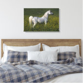 Arabisch paard in bloemen canvas afdruk (Insitu (Slaapkamer))