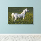 Arabisch paard in bloemen canvas afdruk (Insitu (Houten vloer))