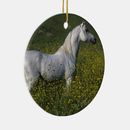 Arabisch paard in bloemen keramisch ornament (Rechts)