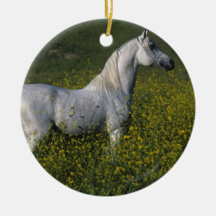 Arabisch paard in bloemen keramisch ornament
