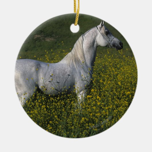 Arabisch paard in bloemen keramisch ornament (Voorkant)
