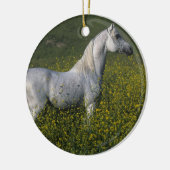 Arabisch paard in bloemen keramisch ornament (Links)
