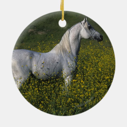 Arabisch paard in bloemen keramisch ornament (Achterkant)