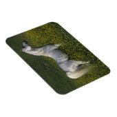 Arabisch paard in bloemen magneet (Rechterzijde)