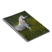 Arabisch paard in bloemen notitieboek (Rechterzijde)