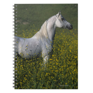 Arabisch paard in bloemen notitieboek
