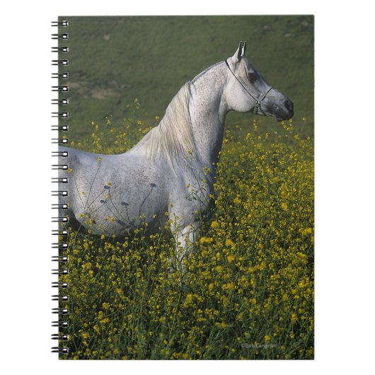 Arabisch paard in bloemen notitieboek (Voorkant)