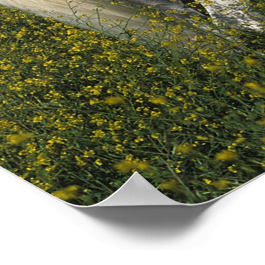 Arabisch paard in bloemen poster (Hoek)