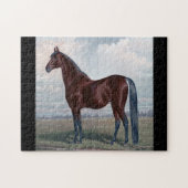 Arabisch paard in een veld legpuzzel (Horizontaal)