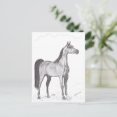 Arabisch paard in Potlood Briefkaart (Staand voorkant)