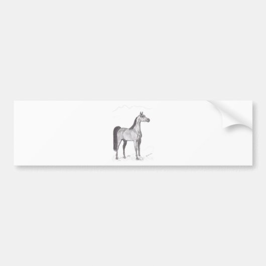 Arabisch paard in Potlood Bumpersticker (Voorkant)